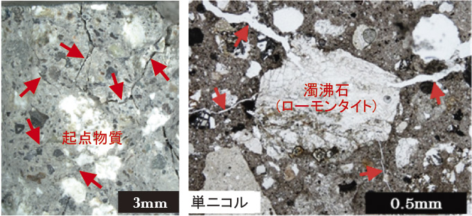 ポップアウト原因物質の実体顕微鏡写真（左）偏光顕微鏡写真（右）